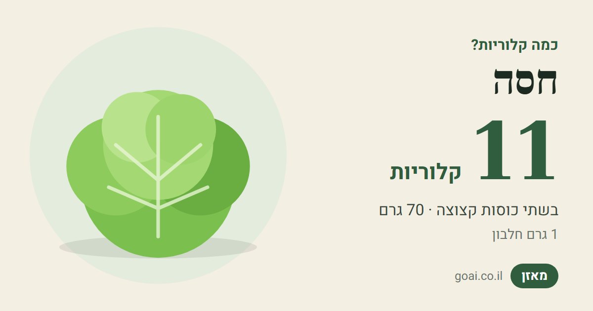 חסה: 11 קלוריות בשתי כוסות קצוצה (70 גרם), 1 גרם חלבון