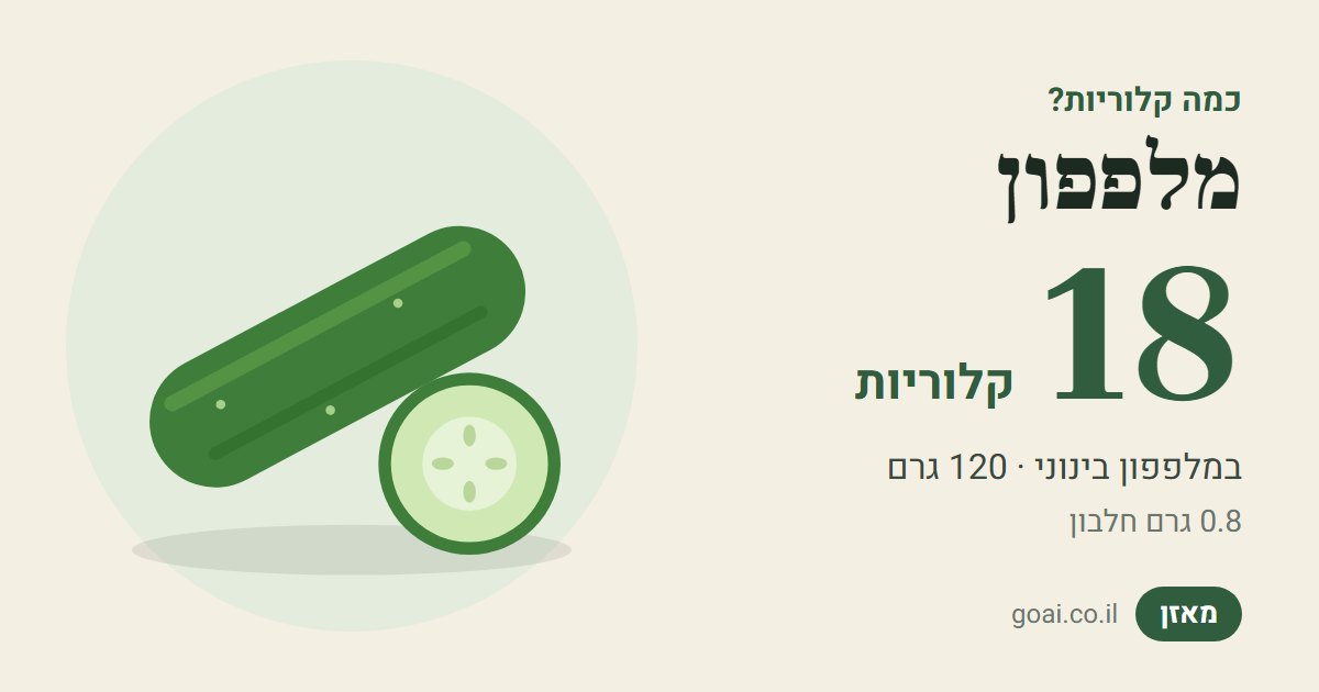 מלפפון: 18 קלוריות במלפפון בינוני (120 גרם), 0.8 גרם חלבון