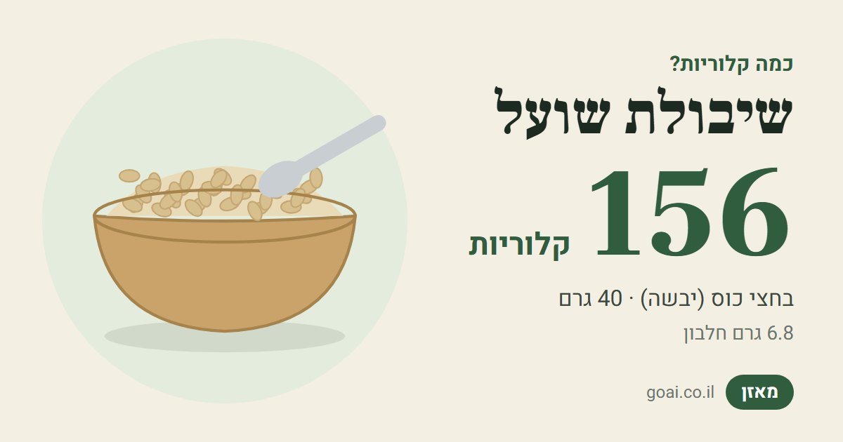 שיבולת שועל: 156 קלוריות בחצי כוס (יבשה) (40 גרם), 6.8 גרם חלבון
