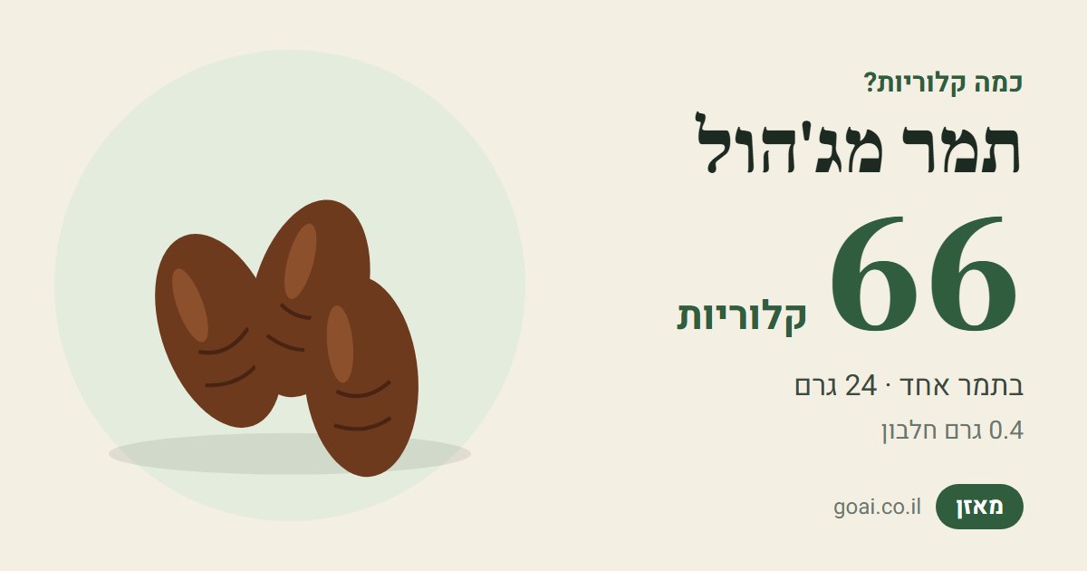 תמר מג'הול: 66 קלוריות בתמר אחד (24 גרם), 0.4 גרם חלבון