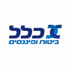 כלל ביטוח ופיננסים - הדרכות וקורסי בינה מלאכותית עם Go AI