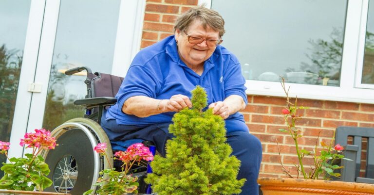 AI לגינה ולטיפוח צמחים: 6 דרכים שיהפכו אתכם לגננים מקצועיים AI לגינה ולטיפוח צמחים